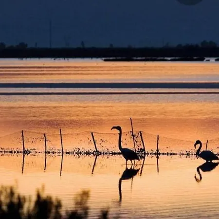 Mediterranean 180º Sea & Island Views * Santa Pola